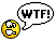 wtf.gif